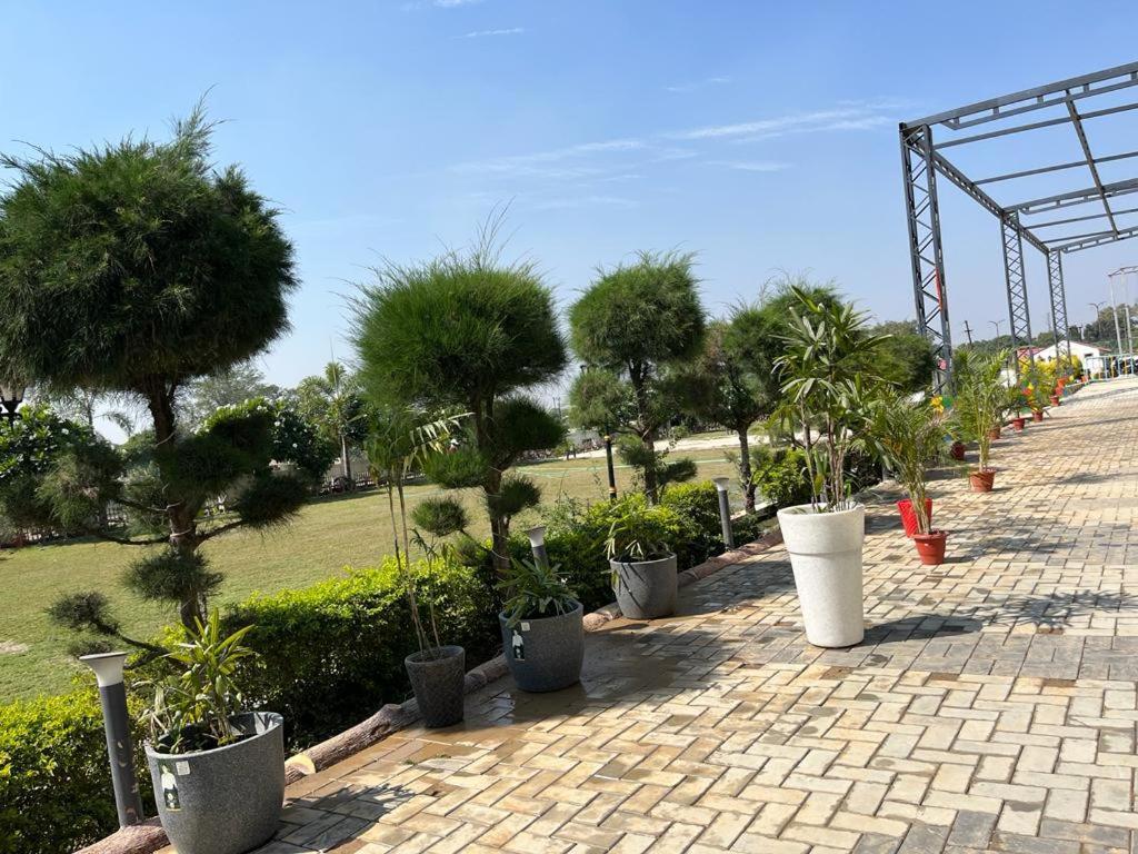 Hotel Eco Park Rewa Exterior foto